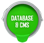 Database & CMS
