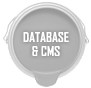 Database & CMS
